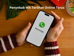 Penyebab WA Terlihat Online Terus